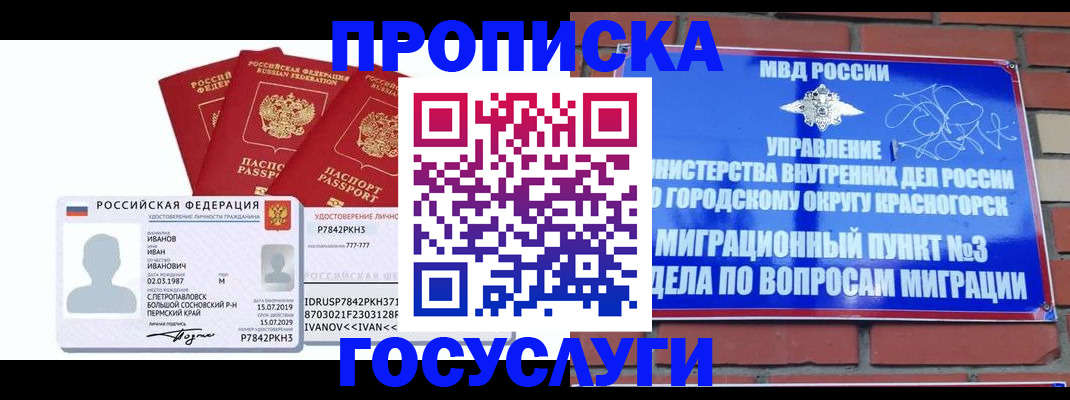 временная регистрация поиск в Мытищах